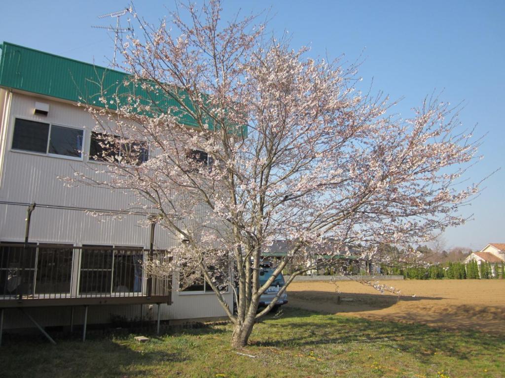 Narita Airport Hostel Shibayama Exteriér fotografie